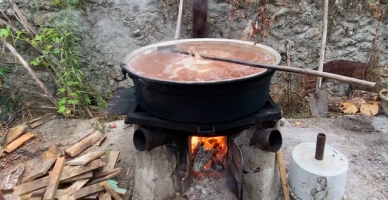Amasya Misket Elmasının Pekmez Yolculuğu