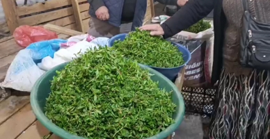 Baharın Lezzeti Madımak Tezgahlarda