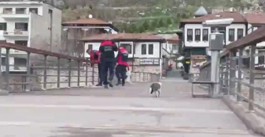 Köprü Ayağına Takılan Odunları Belediye İtfaiye Ekipleri Temizledi