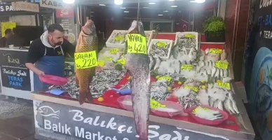 Sazan ve Yayın Balığı Tezgâhın Gözdesi Oldu