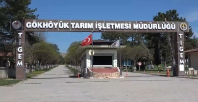 Amasya’da Kuzular Anneleriyle Buluştu