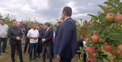 Vali Bakan ve Milletvekilleri Elma Hasadına Katıldı