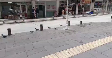 Amasya’da Yağmurlu Havada Yürek Isıtan Görüntü