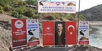 Göletlerimiz Yavru Sazanlarla Buluştu