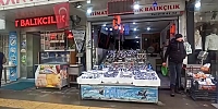 Amasya’daki Balık Tezgahı Fiyatlarında Son Durum