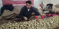 Soğan, Artık Göz Değil Cep Yakıyor