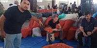 Dağlardan Gelen Lezzet 
