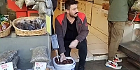 Kestanenin Fiyatı Gözleri Açıyor Cepleri Yakıyor