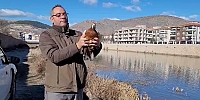 Yabani Kuş Tacirine 55.000 TL Ceza
