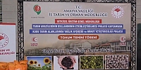 Amasya'da Çiftçilere Ayçiçeği ve Nohut Tohumu Dağıtıldı