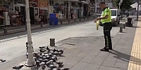 Amasya’da Güvercinleri Besleyen Polisin Görüntüleri Yürekleri Isıttı