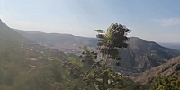 Doğal Orman Meyveleri Amasya’nın Dağlarını Süslüyor