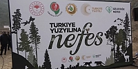 Milli Ağaçlandırma Günü’nde Fidanlar Toprakla Buluştu