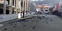 Belediye Zabıta Personelinden Güvercinlere Şefkat Eli