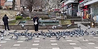 Amasyalılar Soğuk Kış Gününde Hayvanları Unutmuyor