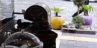 Kuruyemişçide Güvercinlerin Leblebi Keyfi
