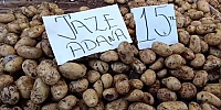 Semt Pazarında Patates 15 TL’den Tezgâhta