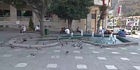 Sıcaktan Bunalan Güvercinler Su Havuzlarında Serinlemeye Çalıştı