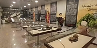 Türkiye’nin En Geniş Mumya Ailesi Amasya’da!