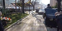 Diyanet İşleri Başkanı Prof. Dr. Arpaguş Amasya’ya Gelerek Ziyaretlerde Bulundu