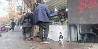 Balıkları İnceleyen Kedi, Esnafın İkramıyla Karnını Doyurdu