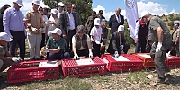 Amasya’da 300 Kınalı Keklik Doğaya Salındı