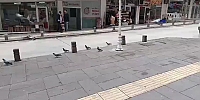 Amasya’da Yağmurlu Havada Yürek Isıtan Görüntü